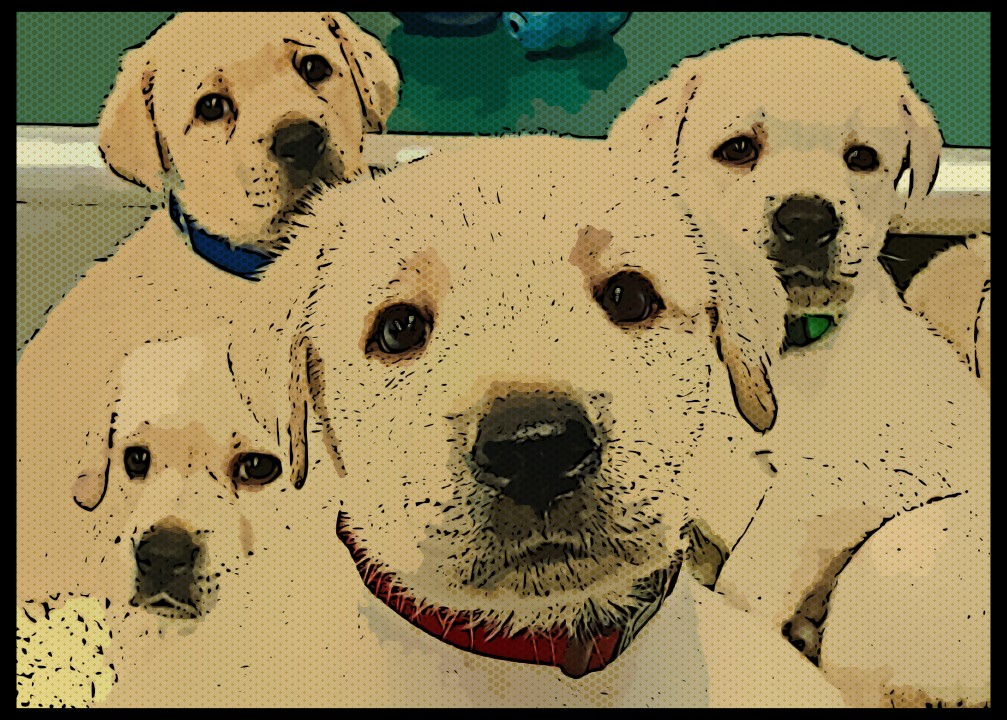 Puppy Bowl
